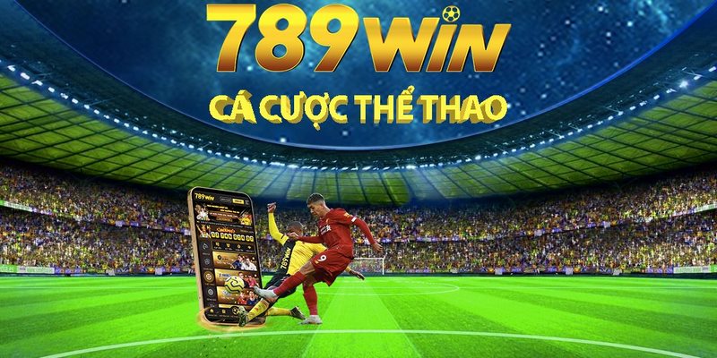 gioi-thieu-san-choi-the-thao-789win