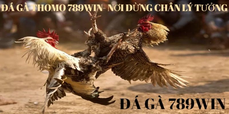 da-ga-Thomo-789win